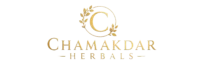 logo onlyt